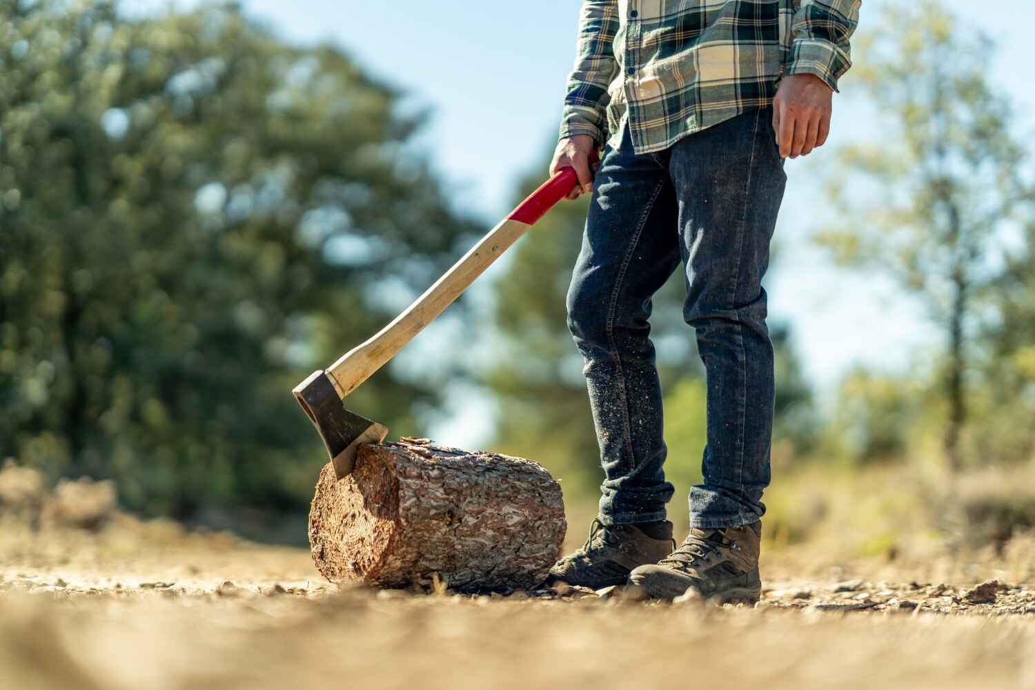 Best Tree Cutting Near Me  in Mabank, TX